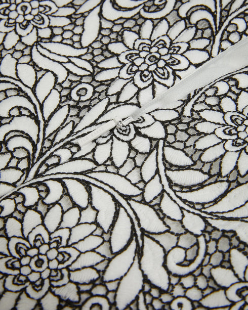 AYYAH-Dresses-Garden party? Meet AYYAH. This timeless midi's short puff sleeves add a playful touch to its silhouette, while the intricate lace detailing exudes sophistication. Midi dress Fit and flare Short puff sleeves Floral lace Ladder lace inserts Crew neck Zip fastening- Ted Baker Romania